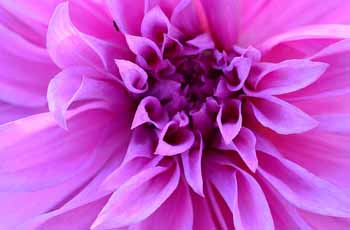 ip攻击器网页版